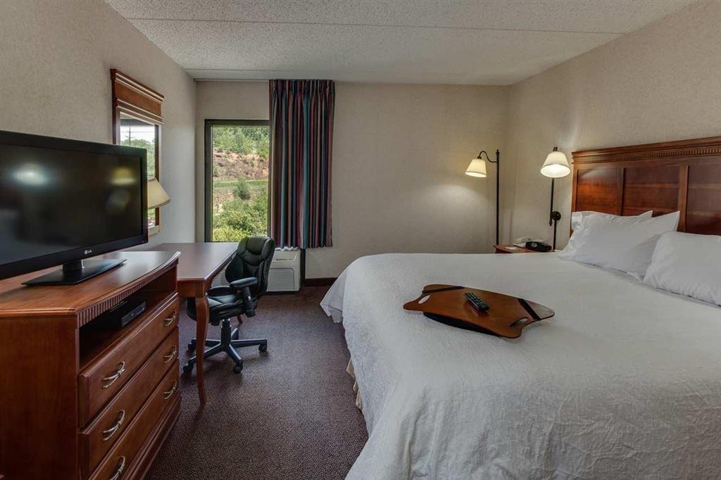 Hampton Inn Hazleton Room photo