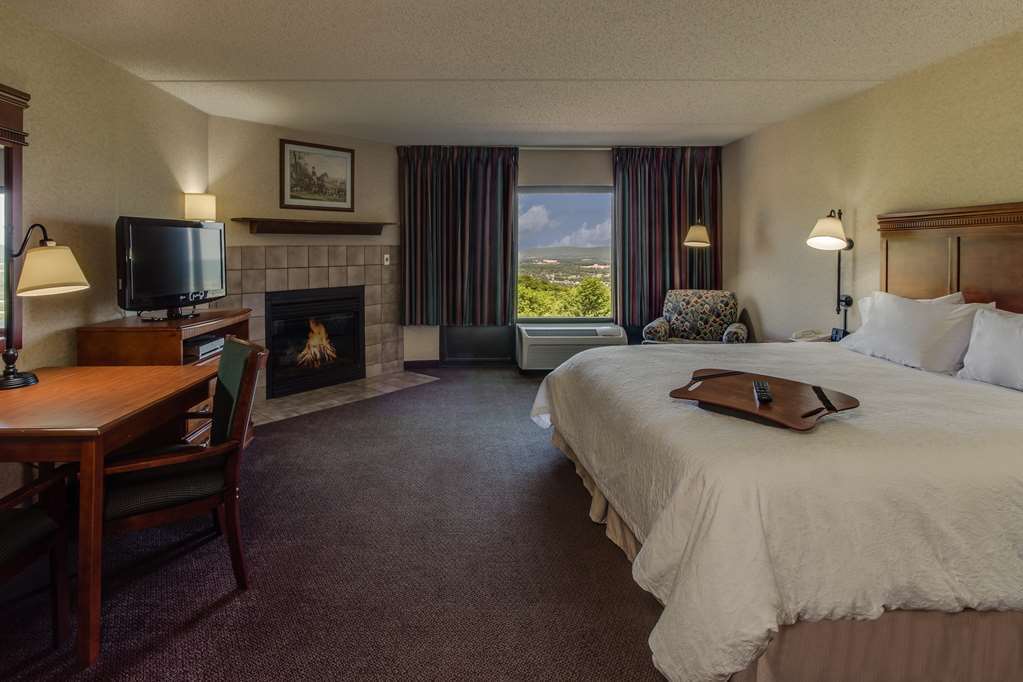 Hampton Inn Hazleton Room photo